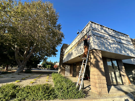 Shop Updates #1
